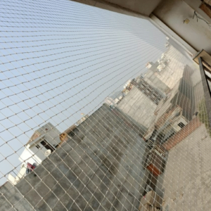 Bird Repellent Dealers In Noida