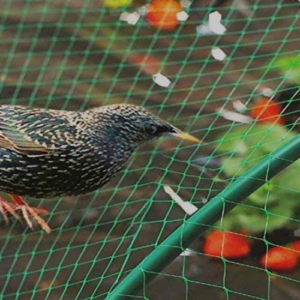 Pigeon Net For Balconies Ghaziabad 