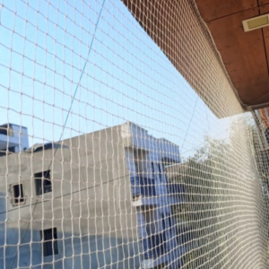 Bird Repellent Dealers In Gurgaon